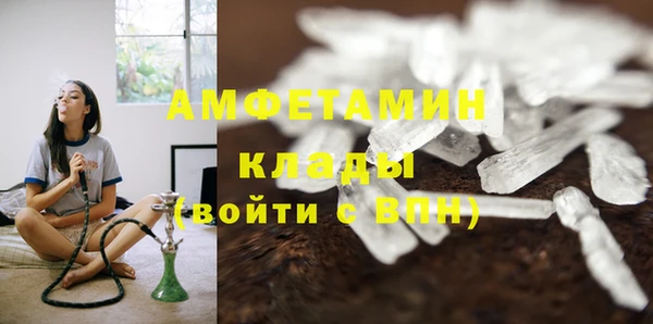 шишки Абинск