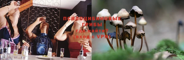 герыч Алексин