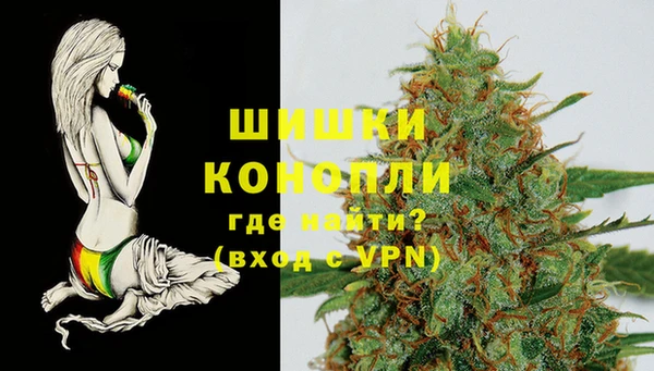 шишки Абинск