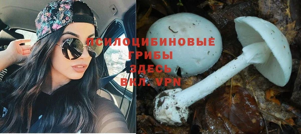 герыч Алексин